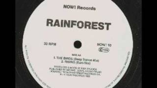 Rainforest  Rising euro mix [upl. by Iasi544]