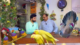 Multan Sunday Birds Rasheedabad 28 july 2024 latest Update​ I Part 2 [upl. by Dougie938]