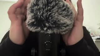 ASMR semi fast amp aggressive  removing bugs from your hair 🪲🪳TINGLY [upl. by Doug]