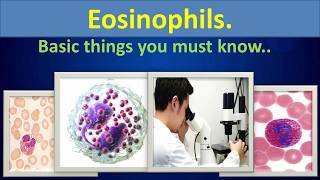 Eosinophils Basic things you must know [upl. by Noral]