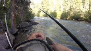 Vallecito creek Vlog [upl. by Nellaf355]