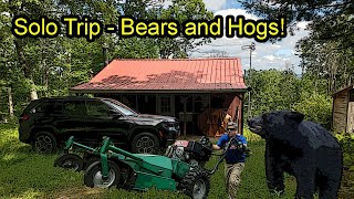 Solo Trip  Bears and Hogs [upl. by Oetomit]