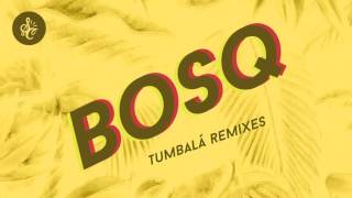 Bosq  Tumbala feat Tempo Alomar Auntie Flo Remix [upl. by Calen]