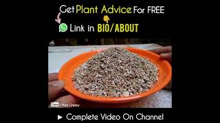 What is Vermiculite amp why Its Important for Plants [upl. by Strader]