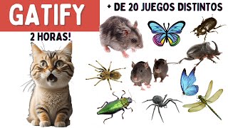 Juegos para Gatos  2 HORAS  Más de 20 Juegos Distintos  Ratones arañas bichos mariposas [upl. by Hitchcock300]