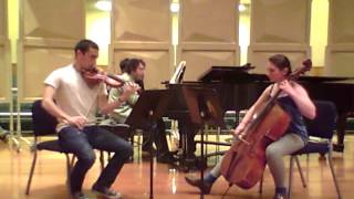 Mendelssohn Piano Trio in C minor [upl. by Duwalt]