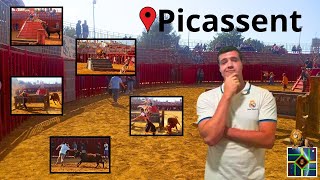 Toros Picassent Sustos y más Parte 8 [upl. by Nylcaj]