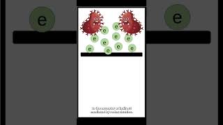 Our DREAM  Measuring bacterial electron transfer [upl. by Sidnala]