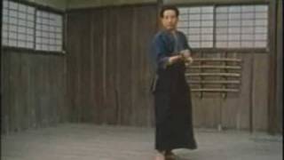 Tenshin Shōden Katori Shintōryū 2  Risuke Otake [upl. by Tatum]