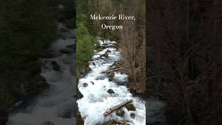 Mckenzie River Oregon oregon pnw river scenery naturelovers usa [upl. by Paver437]