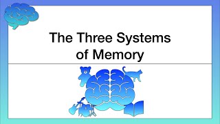 The Three Systems of Memory [upl. by Nelyak]