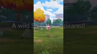 Pokemon go catching a swellow37 [upl. by Hareehahs]