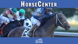 Preakness Stakes and BlackEyed Susan top picks on HorseCenter [upl. by Kern]