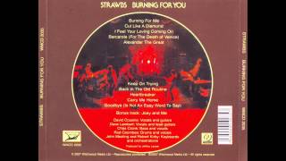 The Strawbs KEEP ON TRYING 1977 Burning For You [upl. by Vescuso]