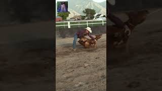 calf roping and tying rodeo cowboy shorts [upl. by Anyaj]