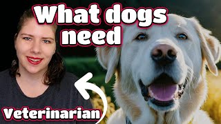 Dog Care Essentials  Vets Guide to Canine Husbandry amp Enrichment [upl. by Ahsuat]