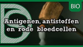 Examen biologie  Antigenen antistoffen en rode bloedcellen I Digistudies VmboT [upl. by Pansy]