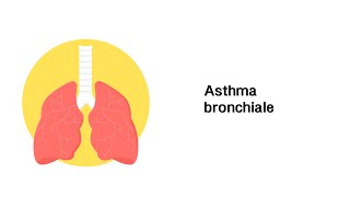 Asthma bronchiale  Erkrankungen der Atemwege [upl. by Windham]