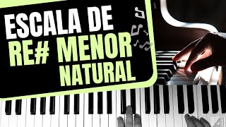 Cómo tocar la escala de Re menor natural en piano [upl. by Clarinda]