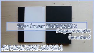 Agenda amp Budget  Riparo lagenda di LUGDIC 2024 [upl. by Nemrac]