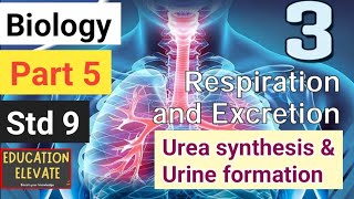 Class 9  Biology  Unit 3  Respiration and Excretion  Part 5 [upl. by Tormoria]