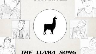 Twaimz  The Llama Song Full Version [upl. by Alenoel]