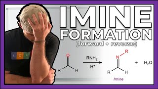 Imine Formation Mechanism Forward and Reverse Directions [upl. by Dorothea]