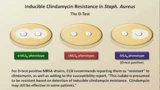 Antibiotic Resistance Antibiotics  Lecture 9 [upl. by Tigges]