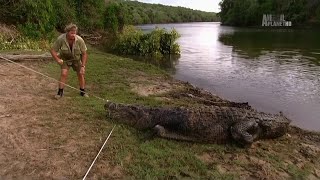 Steve Irwin comes face to face with RATTLESNAKES  Crocodile Hunter  Animal Planet [upl. by Jourdain913]