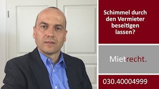 Schimmelpilz  Soll man den Vermieter den Schimmel beseitigen lassen  Fachanwalt Bredereck [upl. by Akimit]