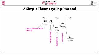 Polymerase chain reaction PCR [upl. by Eahsram669]