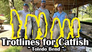 Trotlines for Catfish  Toledo Bend Fishing Trip  Trotline Fishing [upl. by Ecnaled]