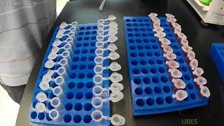 식물대사체학 Water soluble metabolites analysis using GCMS [upl. by Claudie]