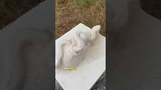 artistic stone carving SNAKE wood sculpture hobby art snake stone artwork [upl. by Hi]