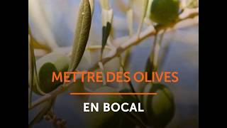 Mettre des olives en bocal [upl. by Kial]