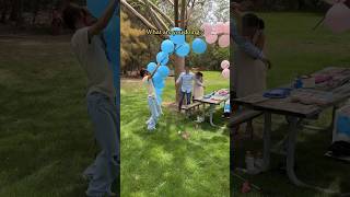 Gender reveal goes wrong [upl. by Nylle500]