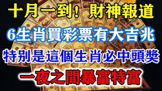 十月一到！財神報道！6生肖彩票有大吉兆！特別是這個生肖必中頭獎！一夜之間暴富特富！運勢 風水 佛教 生肖 发财 横财 【佛之緣】 [upl. by Wurst940]