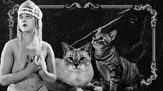 Silent Feline Film Discovered After 100 Years [upl. by Schild]