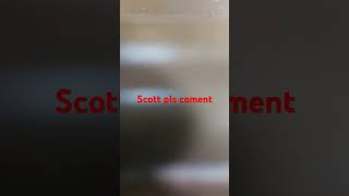 COMMENT SCOTT [upl. by Luahs606]