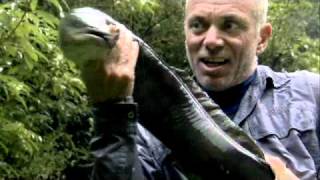 River Monsters Season 3 Trailer [upl. by Bricker]