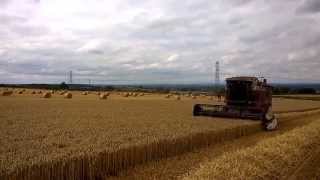 Laverda 3750 drives past harvesting JB Diego Winter Wheat  Summer 2015 [upl. by Tiemroth809]