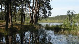 Lower Polissia National Nature Park  Wikipedia audio article [upl. by Manda89]