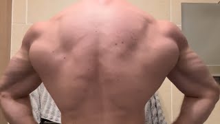 Updated Lat spread Bodybuilding style sub par lighting Post workout I’m Still small [upl. by Ajaj]