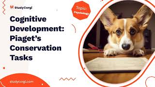 Cognitive Development Piaget’s Conservation Tasks  Research Paper Example [upl. by Ahsiekahs]