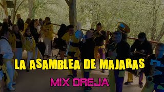 Charanga La Asamblea de Majaras  MIX OREJA  SanJuanDelMonte2024 [upl. by Rolland293]