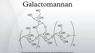 Galactomannan [upl. by Irollam]