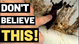 THE TRUTH ABOUT WOOD ROT You need to watch this [upl. by Nilsoj]