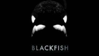 Blackfish  Jeff Beal [upl. by Nnylav]