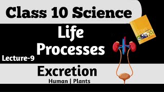 Excretion  Human Excretory system  Excretion in Plants  Kidneys  Nephrons  Urine Formation [upl. by Norym]