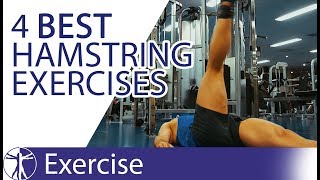 The 4 Best Hamstring Exercises  Hamstring Training [upl. by Constancy]